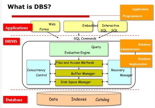 數(shù)據(jù)庫管理系統(tǒng)（DBMS）入門 基礎(chǔ)概念、目標與應(yīng)用